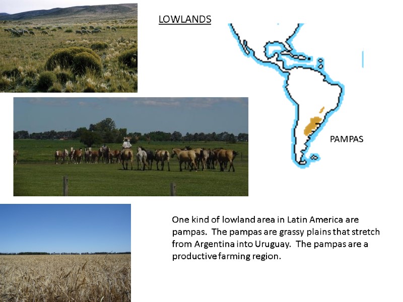 LOWLANDS PAMPAS One kind of lowland area in Latin America are pampas.  The